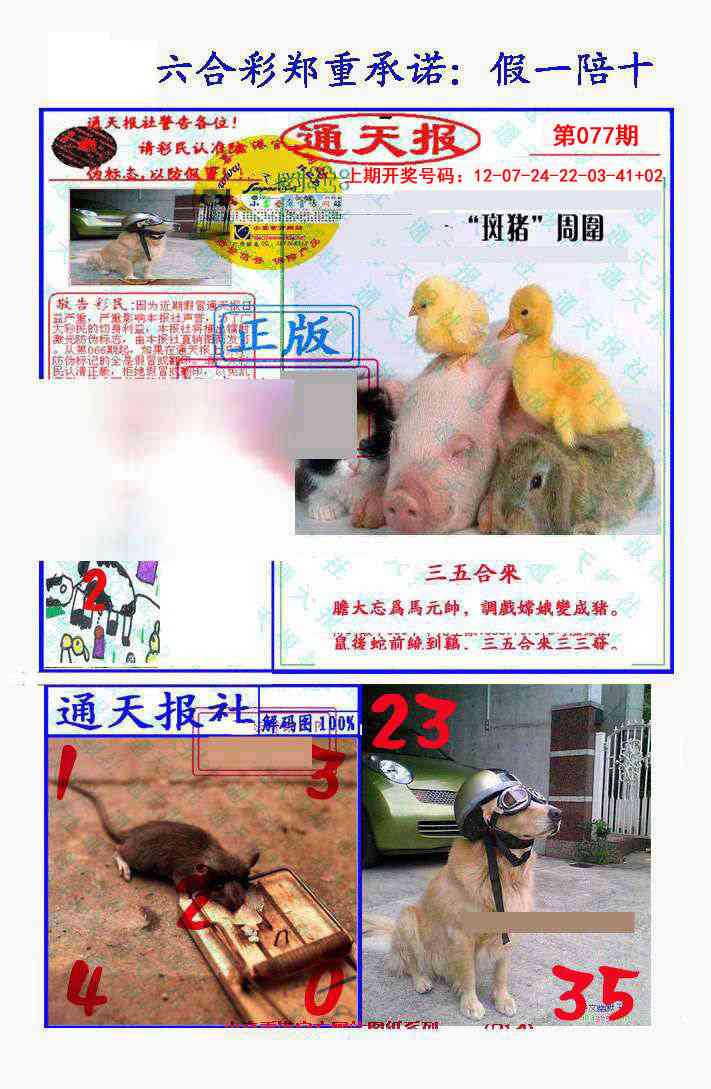 077期假一陪十通天报[图]